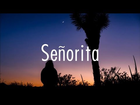 Shawn Mendes, Camila Cabello – Señorita (Lyrics)