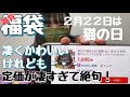 【福袋】楽天で見つけた雑貨福袋（2月22日は猫の日）