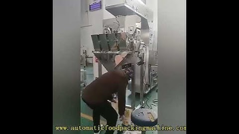 Queenie  4 heads linear weigher manual