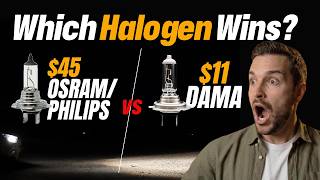 The Best Budget Halogen Bulb for Auto Shops & Fleets? (Osram vs. Philips vs. DAMA)