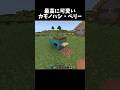 懐かしいカモノハシ #マイクラ #minecraft #shorts
