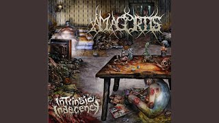 Amagortis - Intrinsic Indecency