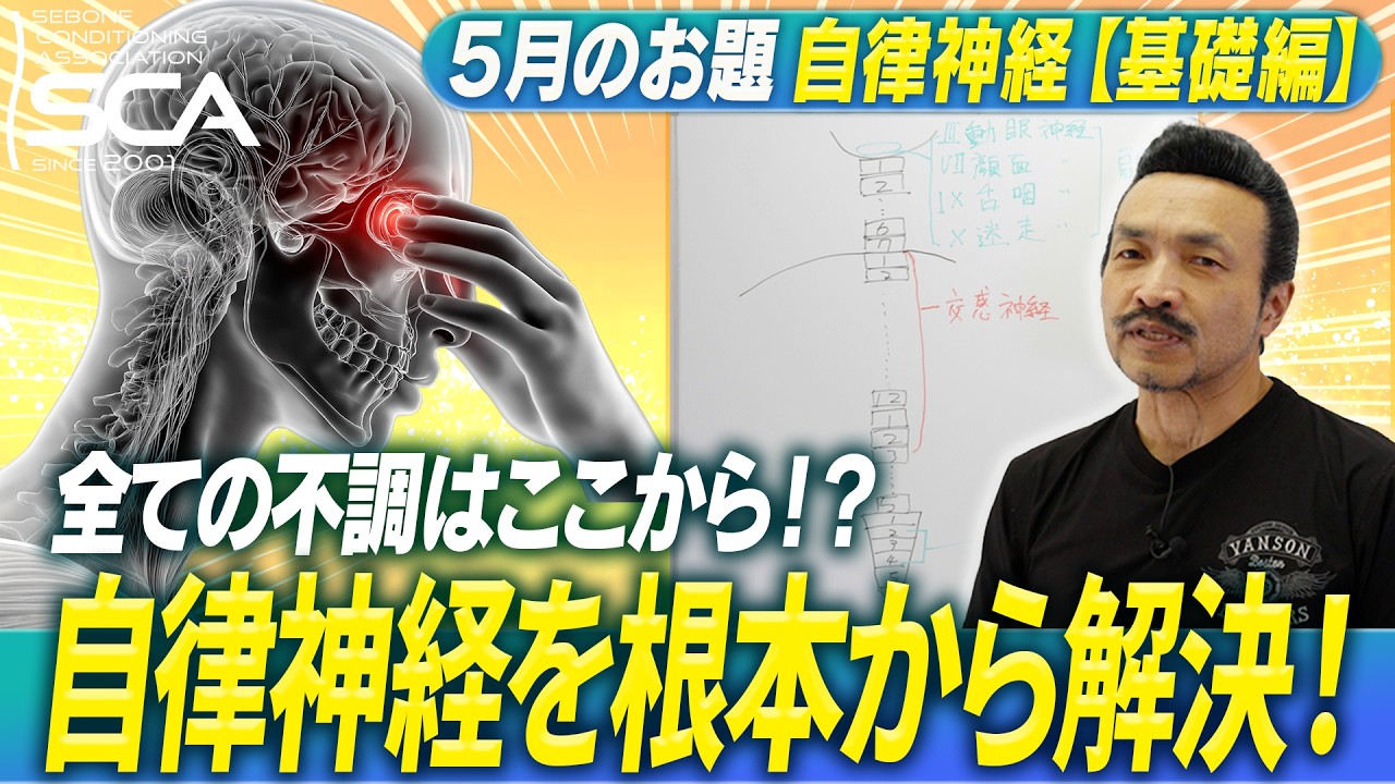 Autonomic Nervous System] Basic Edition! May 2026 Topic: Hino