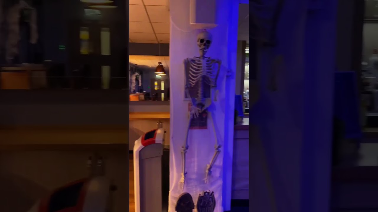 Regent’s University London | Halloween Party 2022