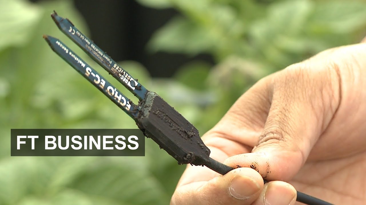 Film backdrop image for Is the UK bad at innovation? (2015)
