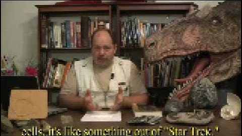 Complete Creation, 2nd Ed., Part 19 with Wazooloo