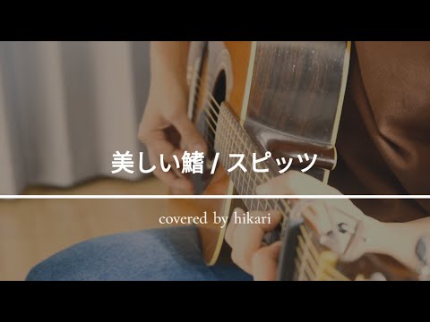 美しい鰭 / スピッツ（covered by hikari）