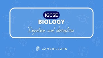 How digestion and absorption work - IGCSE Biology