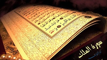 سورة الملك - بصوت الشيخ هادي فايد .