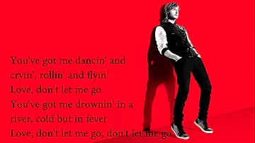 DAVID GUETTA LOVE DONT LET ME GO LYRICS