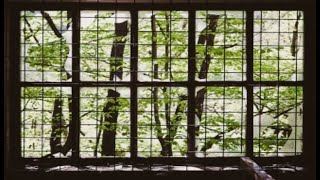 Information Fear, religion and God's freedom - Geoff Marshall News