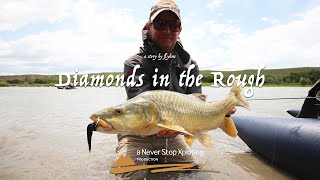 Diamonds In The Rough- a Never Stop Xploring film