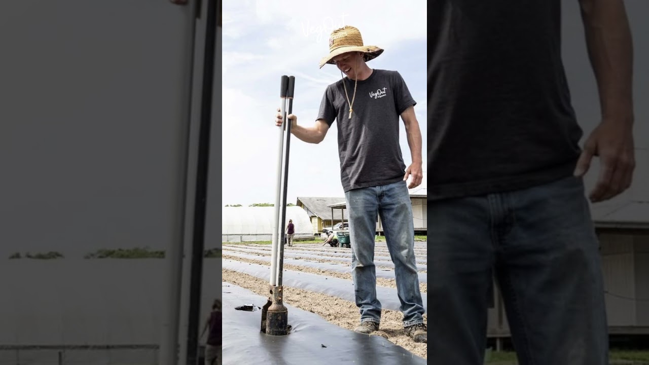 VO Groupon ads imagery