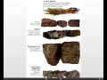Fossil Fuels: Formation and Types