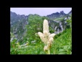 とある山岳と公園の風景(The most relaxing music imaginable.background music.music to relax.作業用BGM)