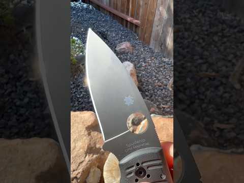 Spyderco Saturday: Shaman Salt