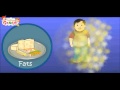 Nutrition and Food Groups Concepts