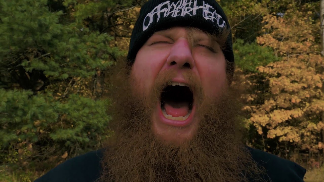 The Highdives   Cold sheets