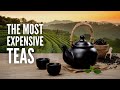 The 13 Most Expensive Teas in the World