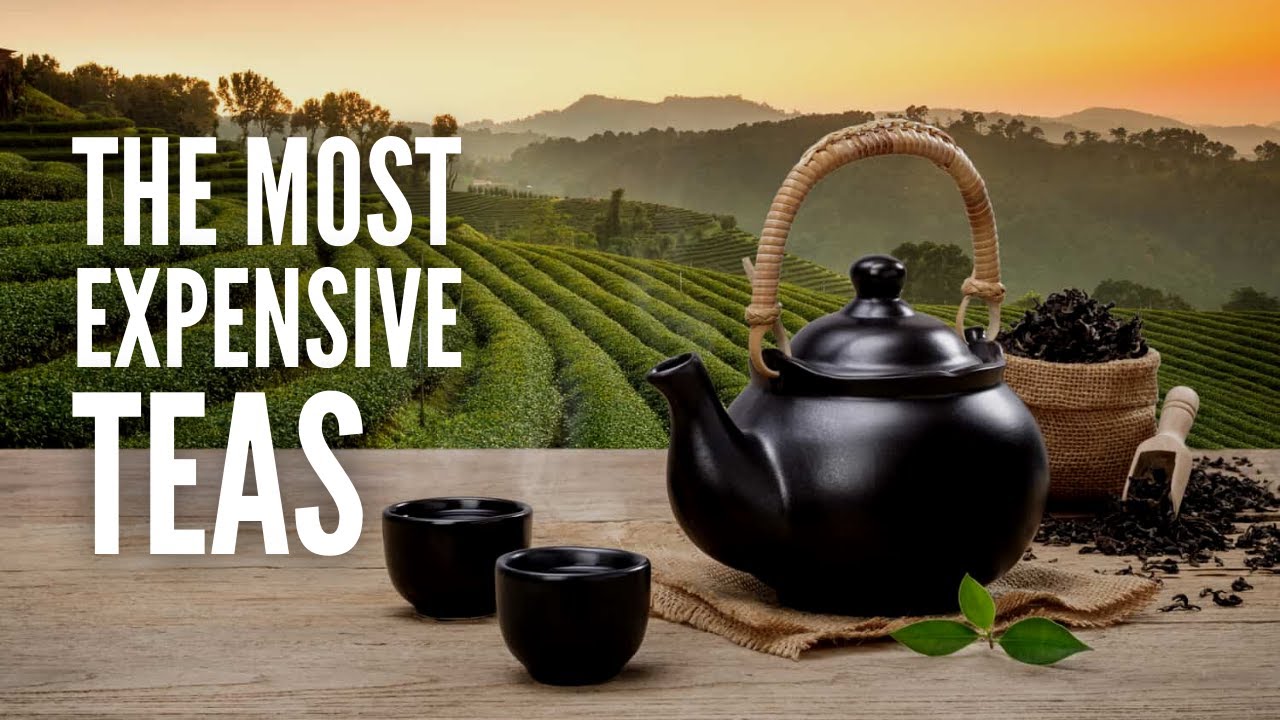 The 13 Most Expensive Teas In The World YouTube The 13 Most Expensive Teas In The World YouTube