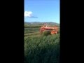 Κοπτικό / Hay Cutting Machine / Kverneland Taarup 4236 LR