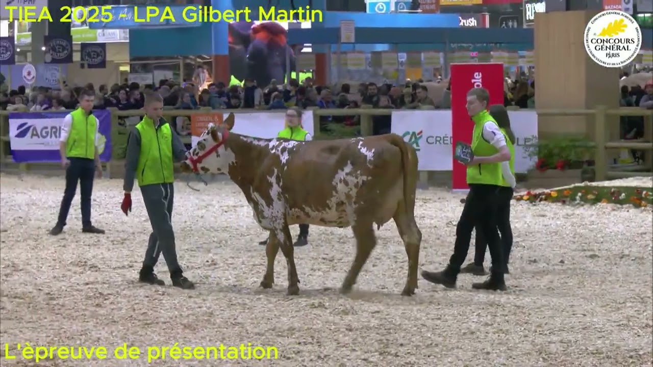 TIEA 2025 - L'épreuve de présentation