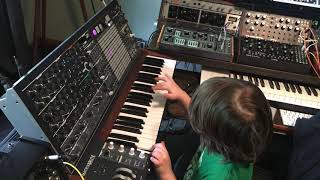My 5yo son's improv synth jam on the Arturia MatrixBrute