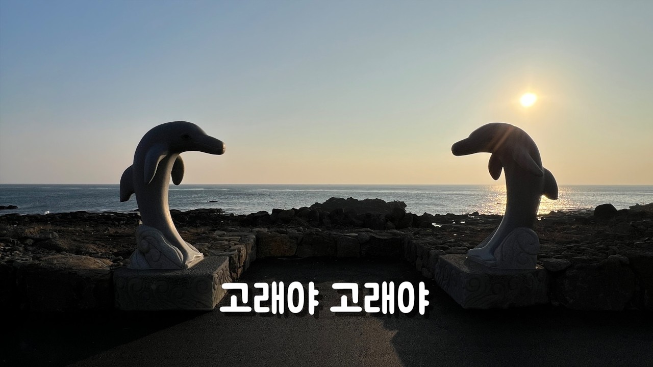 고래야 고래야