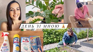 СМАЧНИЙ ОБІД 😋 НОВІ ЗАСОБИ ДЛЯ ПРИБИРАННЯ! 🤩 ДОГЛЯД ЗА КВІТАМИ 👌