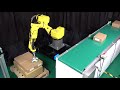 Automated Robotic Depalletizing Using AI | AccuPick