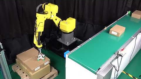 Automated Robotic Depalletizing Using AI | AccuPick