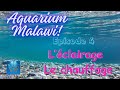 Lclairage et chauffage aquarium malawi