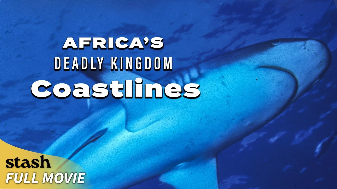 Documentary backdrop image for Africa’s Deadly Kingdom: Coastlines | Wildlife Documentary (2024)