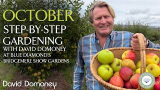 October | Step-by-Step Gardening at Blue Diamond's Bridgemere Show Gardens | Ep 21 #garden