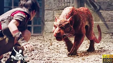 猛虎袭击功夫小子，哪料被他一拳击倒 🔥 功夫 | Kung Fu - 天天要闻