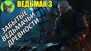 ВЕДЬМАК 3 - ЗАБЫТЫЕ ВЕДЬМАЧЬИ ДРЕВНОСТИ (новый квест в игре!). Уютный стрим SHERL&#39;a