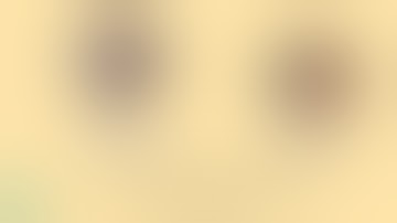 Are you a globe hopper and trying your luck for a job in France ?