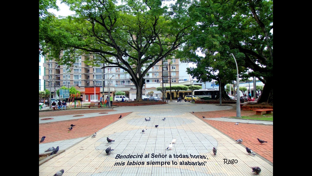 BARRIO PALMIRA DE BARRANCABERMEJA YouTube barrio-palmira-de-barrancabermeja-youtube