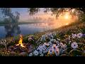 12H Campfire In Spring Meadow With Natural Sounds For Calm Relaxation Sleep And Focus 