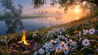 12H Campfire in Spring Meadow with Natural Sounds for Calm Relaxation, Sleep and Focus 🔥