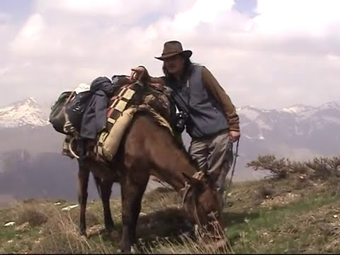 Anadolu Leoparı'nın İzinden-3