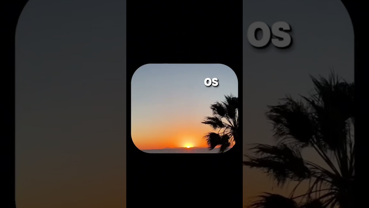 Dr. Zima coast, meme 