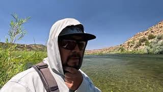 HIGH FLOWS | HIGH FISH COUNT | SAN JUAN RIVER