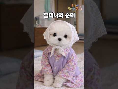순이와 할머니의 운명적(?) 만남