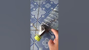 Bẩy chuột bằng chai nhựa