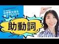 【中学英文法】助動詞『Mr. Evineの中学英文法を修了するドリル』解説(14)　例文音読付