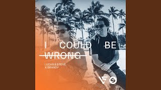I Could Be Wrong (Radio Edit) - Lucas & Steve & Brandy