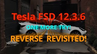 Tesla FSD 12.3.6 My Reverse Obsession #tesla #fsd12