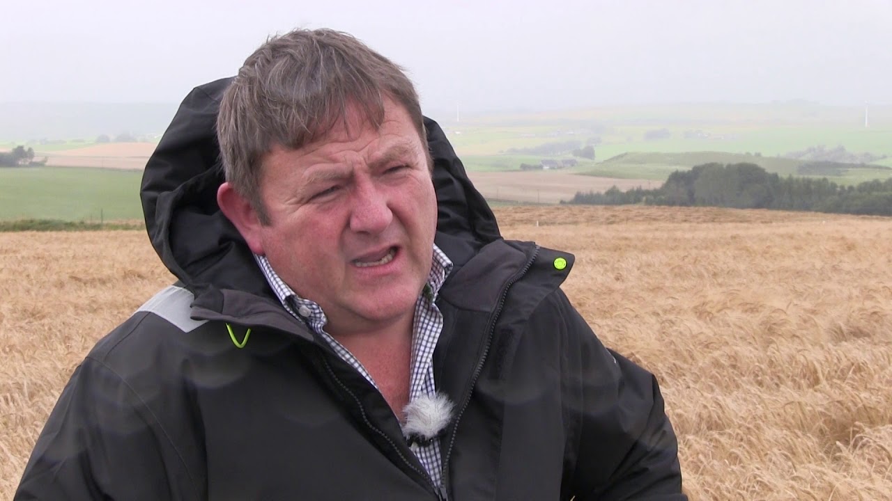 growing-a-profitable-spring-barley-crop-youtube