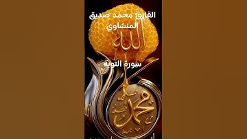 #ماتيسر_من سورة التوبة بصوت القارئ الشيخ محمد صديق المنشاوي قناه القرآن الكريم الرسمية